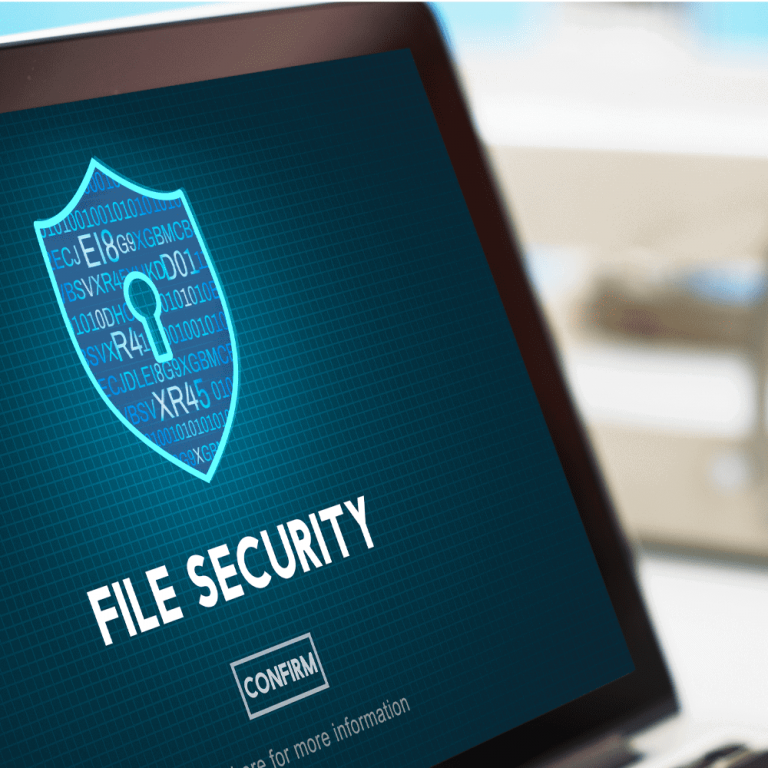 COMPREHENSIVE SECURITY ASSESSMENT FOR A GERMAN LUXURY CAR MANUFACTURER Security Assessment case study ifi tech