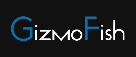 GizmoFish IFI Techsolutions Client